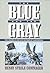 The Blue and the Gray (2 Vo...