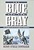 The Blue and the Gray (2 Vols in 1)
