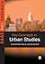 Key Concepts in Urban Studi...
