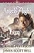 Angels Flight (Shannon Saga...