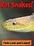 Rat Snakes! Learn About Rat Snakes and Enjoy Colorful Pictures - Look and Learn! (50+ Photos of Rat Snakes)