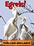 Egrets! Learn About Egrets and Enjoy Colorful Pictures - Look and Learn! (50+ Photos of Egrets)