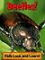 Beetles! Learn About Beetles and Enjoy Colorful Pictures - Look and Learn! (50+ Photos of Beetles)