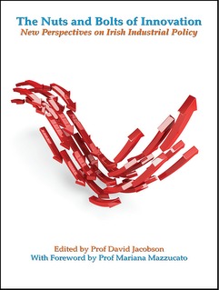 The Nuts and Bolts of Innovation: New Perspectives on Irish Industrial Policy