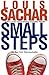 Small Steps (Holes Series Book 2)
