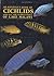 Konings's Book of Cichlids ...