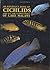 Konings's Book of Cichlids and All the Other Fishes of Lake M... by Ad Konings