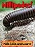Millipedes! Learn About Millipedes and Enjoy Colorful Pictures - Look and Learn! (50+ Photos of Millipedes)