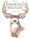 Drawing Wildlife