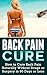 The Back Pain Cure: How to Cure Back Pain Naturally Without Drugs or Surgery in 90 Days or Less