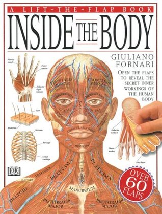 Inside the Body (Lift-the-flap Book)