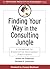 Finding Your Way in the Consulting Jungle by Arthur M. Freedman