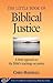 The Little Book of Biblical Justice by Christopher D. Marshall