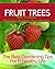 Fruit Trees – How To Grow Delicious Fruit In Your Garden by Julio Belson