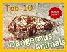 Dangerous Animals: Top 10 types of Dangerous, Venomous & Deadly Animals that can injure or kill You (Maverick Kids)