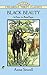 Black Beauty by Bob Blaisdell
