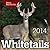 Whitetails 2014 Daily Calendar by Deer & Deer Hunting