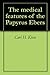 The medical features of the Papyrus Ebers
