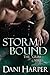Storm Bound (Grim, #2)