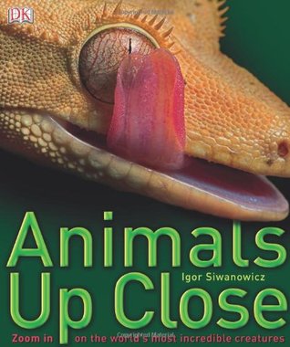 Animals Up Close (Hardcover)
