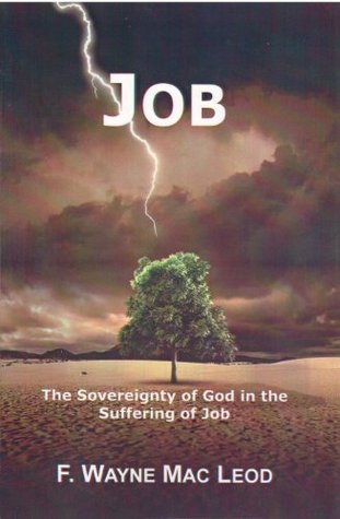 Job: The Sovereignty of God in the Suffering of Job (Light To My Path Devotional Commentary Series Book 11)