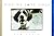 Why We Love Dogs: A Bark & ...
