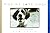 Why We Love Dogs by Kim Levin
