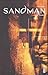 Sandman Tome 2 (Sandman Absolute #2 de 7)