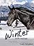 Winter with Horses (White Cloud Station, #7)