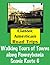Classic American Road Trips: Walking Tours of Towns along Pennsylvania Scenic Route 6 (Look Up, America! Series)