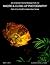An Introduction To Macro An...
