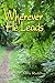 Wherever He Leads