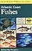 Atlantic Coast Fishes of No...