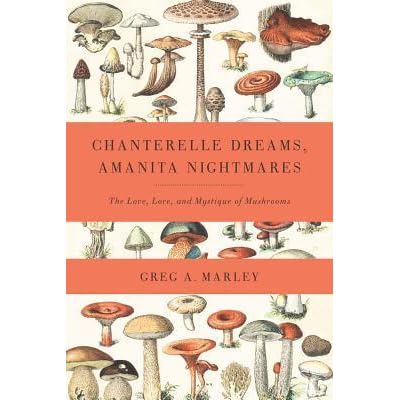 chanterelle dreams amanita nightmares