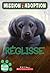 Reglisse (Mission: Adoption)