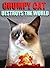 Grumpy Cat Destroys the World