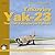 Yakovlev YAK-23: The First Yakovlev Jet Fighters (Yellow Series)