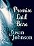 Promise Laid Bare (Bruton Street Bookstore, #2) by Susan Johnson