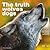 The Truth About Wolves and Dogs: Dispelling the Myths of Dog Training