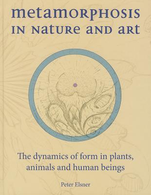 Metamorphosis in Nature and Art: The Dynamics of Form in Plants, Animals and Human Beings (Art and Science)