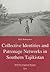 Collective Identities and Patronage Networks in Southern Tajikistan (24) (ZEF Development Studies)