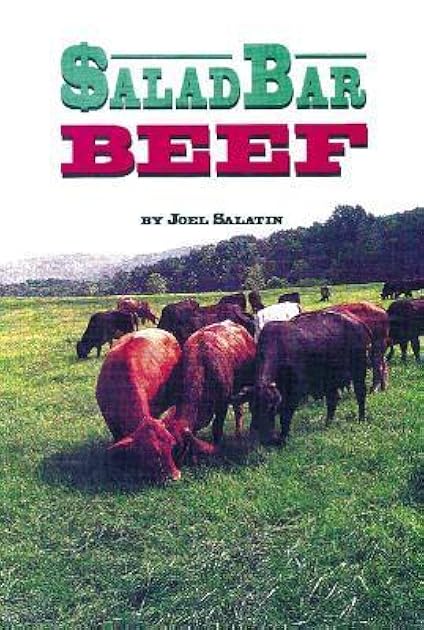 Salad Bar Beef