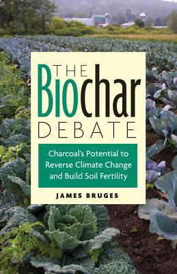 The Biochar Debate: Charcoal's Potential to Reverse Climate Change and Build Soil Fertility