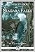 14 Fun Facts About Niagara Falls: A 15-Minute Book