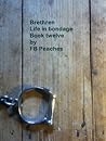 Brethren, Life In Bondage: Book Twelve (Brethren, #12)