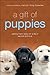 A Gift of Puppies