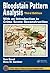 Bloodstain Pattern Analysis with an Introduction to Crime Scene Reconstruction (Practical Aspects of Criminal and Forensic Investigations)