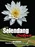 Selendang Sukma
