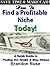 How to Find a Profitable Niche Today Quick Guide to Finding Hot Kindle & Blog Niches