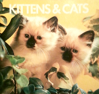 Kittens and Cats: An animal information book